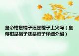 皇帝柑是橘子還是橙子上火嗎（皇帝柑是橘子還是橙子詳細介紹）