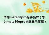 華為mate30pro抬手亮屏（華為mate30epro抬屏顯示在哪）