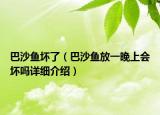 巴沙魚壞了（巴沙魚放一晚上會壞嗎詳細(xì)介紹）