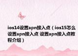 ios14設(shè)置apn接入點(diǎn)（ios15怎么設(shè)置apn接入點(diǎn) 設(shè)置apn接入點(diǎn)教程介紹）