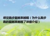 感覺跑步腿越來越粗（為什么跑步跑的腿越來越粗了詳細介紹）