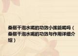 桑椹干泡水喝的功效小孩能喝嗎（桑椹干泡水喝的功效與作用詳細介紹）