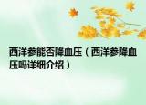 西洋參能否降血壓（西洋參降血壓嗎詳細(xì)介紹）