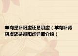 羊肉是補(bǔ)陽虛還是陰虛（羊肉補(bǔ)腎陰虛還是腎陽虛詳細(xì)介紹）