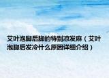 艾葉泡腳后腳的特別涼發(fā)麻（艾葉泡腳后發(fā)冷什么原因詳細介紹）