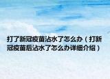 打了新冠疫苗沾水了怎么辦（打新冠疫苗后沾水了怎么辦詳細(xì)介紹）