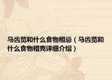 馬齒莧和什么食物相忌（馬齒莧和什么食物相克詳細(xì)介紹）
