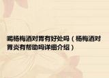 喝楊梅酒對(duì)胃有好處嗎（楊梅酒對(duì)胃炎有幫助嗎詳細(xì)介紹）