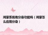 鴻蒙系統(tǒng)有分身功能嗎（鴻蒙怎么應用分身）