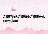 產(chǎn)權(quán)證的大產(chǎn)權(quán)和小產(chǎn)權(quán)是什么你什么意思