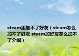 steam里加不了好友（steam怎么加不了好友 steam加好友怎么加不了介紹）