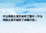 什么樣的土豆不能吃了圖片（什么樣的土豆不能吃了詳細介紹）