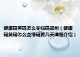 健康碼黃碼怎么變綠碼鄭州（健康碼黃碼怎么變綠碼要幾天詳細介紹）