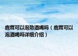 鹿茸可以泡勁酒喝嗎（鹿茸可以泡酒喝嗎詳細介紹）