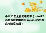 小米11怎么看充電功率（miui12怎么查看充電功率 miui12怎么看充電速度介紹）