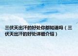 三伏天出汗的好處你都知道嗎（三伏天出汗的好處詳細(xì)介紹）