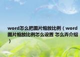 word怎么把圖片縮放比例（word圖片縮放比例怎么設(shè)置 怎么弄介紹）