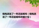 楊梅酒泡了一年還能喝嗎（楊梅酒泡了一年還能喝嗎詳細(xì)介紹）