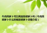 牛肉燉蘿卜可以再加些胡蘿卜嗎（牛肉燉胡蘿卜什么時(shí)候放胡蘿卜詳細(xì)介紹）