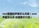 soul里面的聲音怎么關(guān)掉（soul聲音怎么關(guān) 在哪里關(guān)介紹）