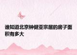 誰知道北京鐘健亞宗居的房子面積有多大