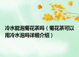 冷水能泡菊花茶嗎（菊花茶可以用冷水泡嗎詳細(xì)介紹）