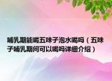 哺乳期能喝五味子泡水喝嗎（五味子哺乳期間可以喝嗎詳細介紹）