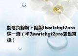 鍗庝負(fù)鎵嬭〃鏂版watchgt2pro琛ㄧ洏（華為watchgt2pro表盤直徑）