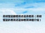 蒸螃蟹是翻著蒸還是蒸著蒸（蒸螃蟹是趴著蒸還是仰著蒸詳細介紹）