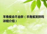羊角蜜會(huì)不會(huì)胖（羊角蜜發(fā)胖嗎詳細(xì)介紹）