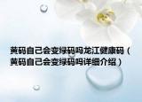 黃碼自己會(huì)變綠碼嗎龍江健康碼（黃碼自己會(huì)變綠碼嗎詳細(xì)介紹）