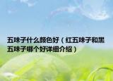 五味子什么顏色好（紅五味子和黑五味子哪個(gè)好詳細(xì)介紹）