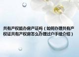 共有產(chǎn)權(quán)能辦房產(chǎn)證嗎（如何辦理共有產(chǎn)權(quán)證共有產(chǎn)權(quán)房怎么辦理過戶手續(xù)介紹）
