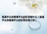 荔浦芋頭和普通芋頭的區(qū)別是什么（荔浦芋頭和普通芋頭的區(qū)別詳細(xì)介紹）