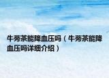 牛蒡茶能降血壓嗎（牛蒡茶能降血壓嗎詳細介紹）