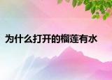 為什么打開(kāi)的榴蓮有水
