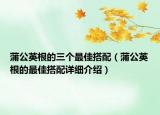 蒲公英根的三個最佳搭配（蒲公英根的最佳搭配詳細介紹）