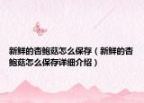 新鮮的杏鮑菇怎么保存（新鮮的杏鮑菇怎么保存詳細介紹）