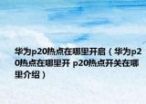 華為p20熱點在哪里開啟（華為p20熱點在哪里開 p20熱點開關(guān)在哪里介紹）