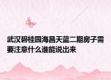 武漢碧桂園海昌天藍(lán)二期房子需要注意什么誰能說出來