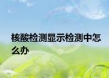 核酸檢測(cè)顯示檢測(cè)中怎么辦