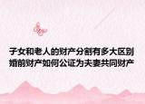 子女和老人的財(cái)產(chǎn)分割有多大區(qū)別婚前財(cái)產(chǎn)如何公證為夫妻共同財(cái)產(chǎn)