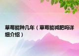 草莓能種幾年（草莓能減肥嗎詳細介紹）