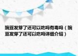 豌豆發(fā)芽了還可以吃嗎有毒嗎（豌豆發(fā)芽了還可以吃嗎詳細介紹）