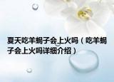 夏天吃羊蝎子會(huì)上火嗎（吃羊蝎子會(huì)上火嗎詳細(xì)介紹）