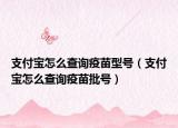 支付寶怎么查詢疫苗型號(hào)（支付寶怎么查詢疫苗批號(hào)）