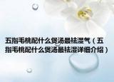 五指毛桃配什么煲湯最祛濕氣（五指毛桃配什么煲湯最祛濕詳細介紹）