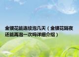 金銀花能連續(xù)泡幾天（金銀花隔夜還能再泡一次嗎詳細(xì)介紹）