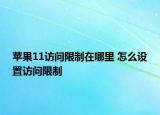 蘋果11訪問限制在哪里 怎么設(shè)置訪問限制