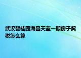 武漢碧桂園海昌天藍一期房子契稅怎么算